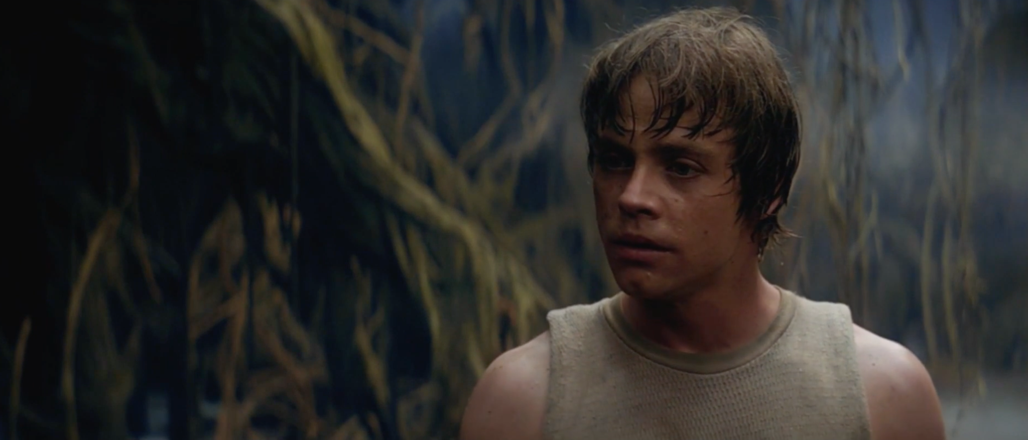 How does an Editor Think and Feel?