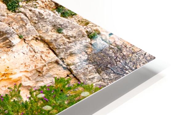 2495260 :: HD Sublimation Metal Print